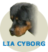 Lya Cyborg Von Rottssel